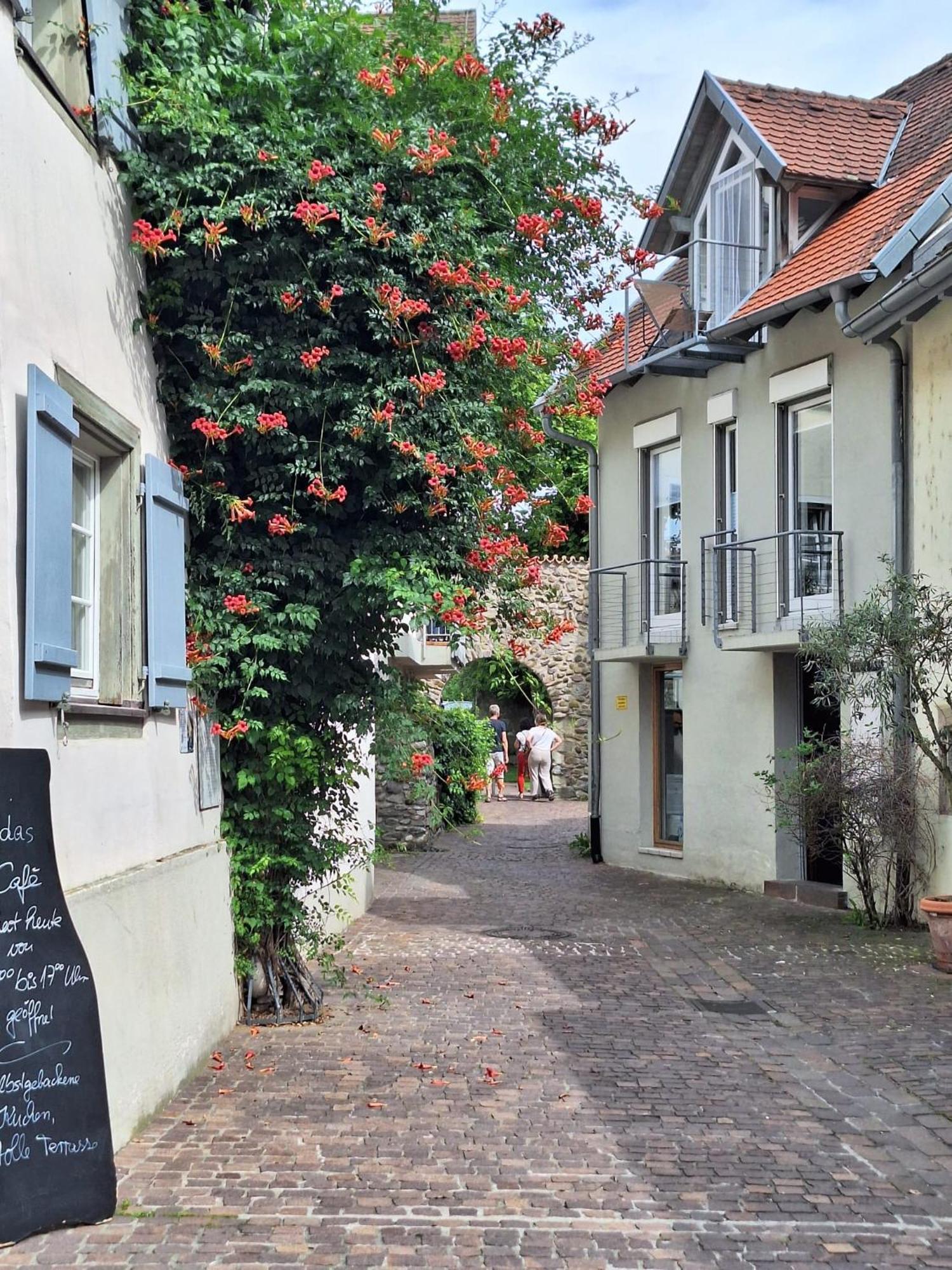 Ferienwohnung Ueberblick ラドルフツェル・アム・ボーデンゼー エクステリア 写真